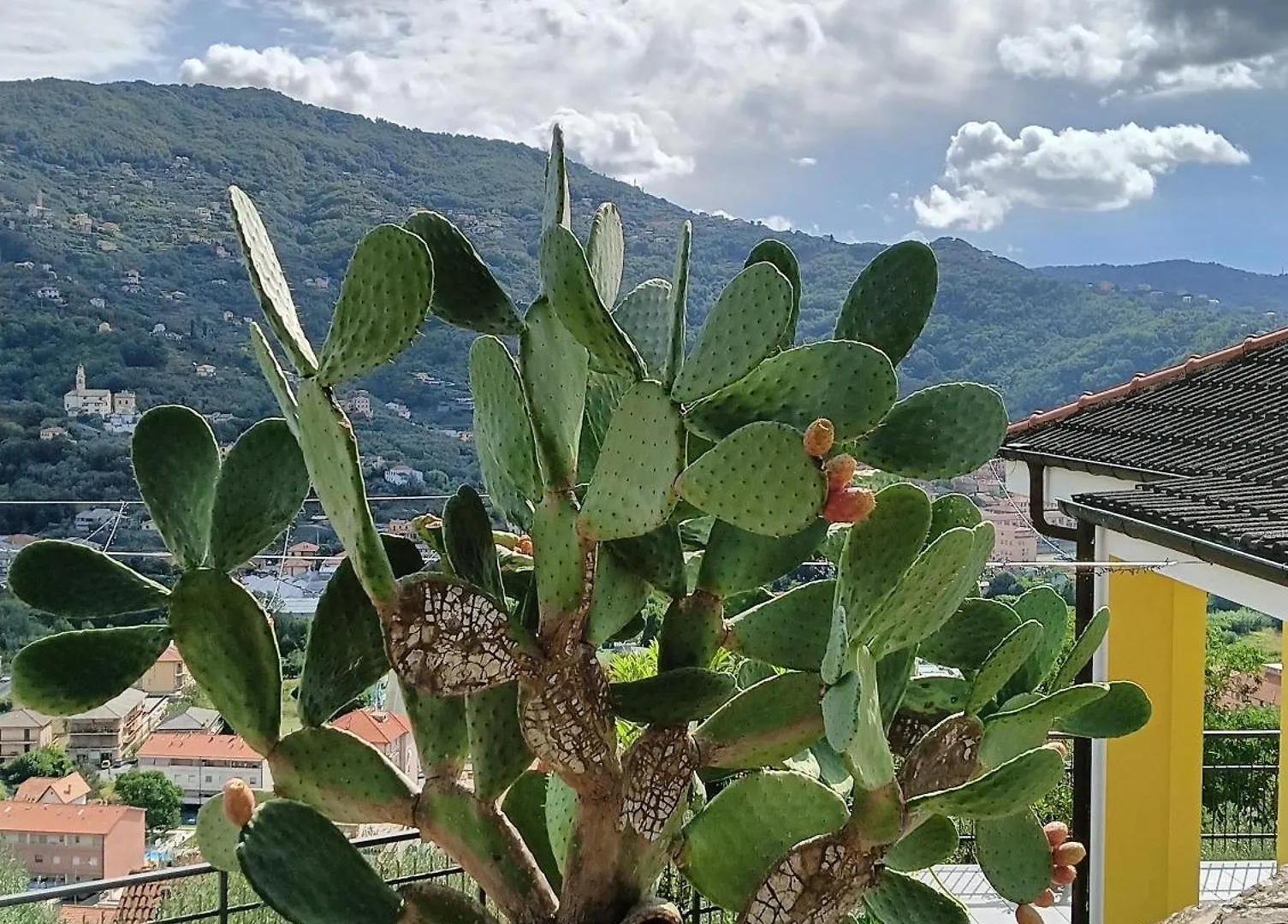 Le Drupe Villa Chiavari Holiday home