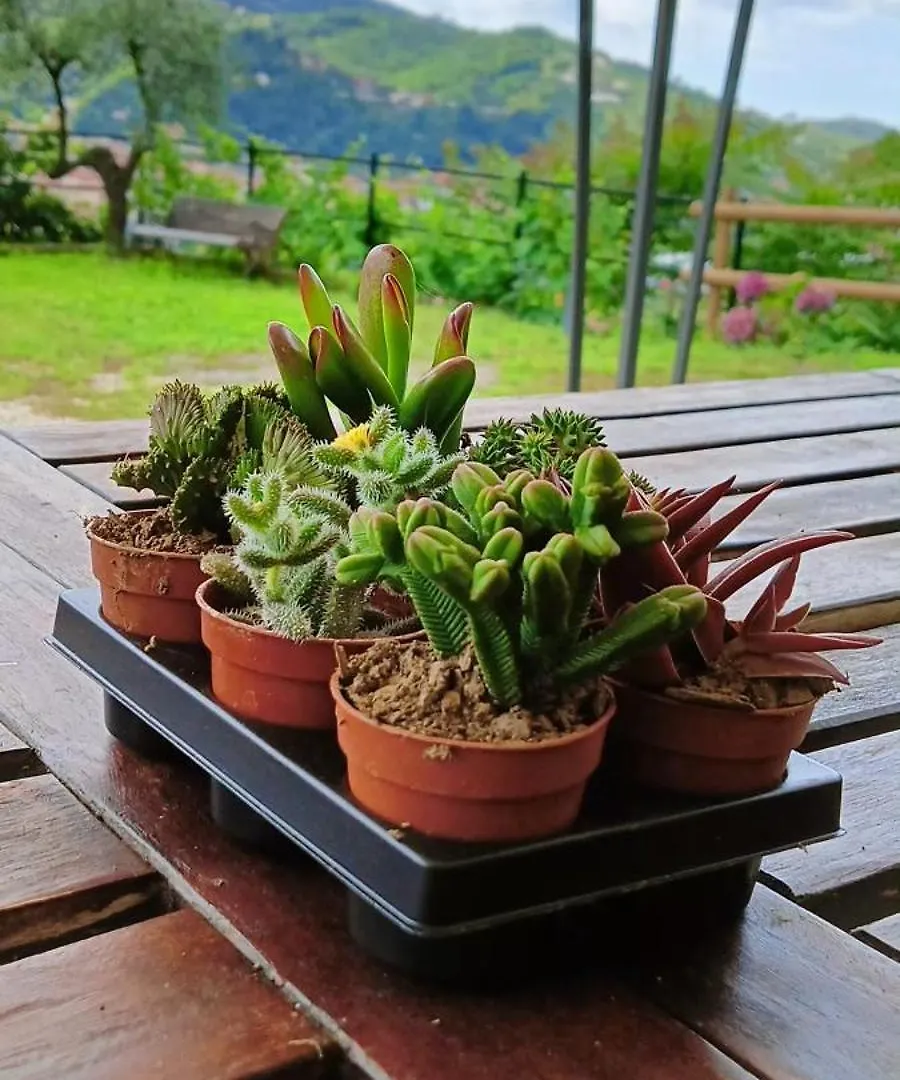 Casa vacanze Villa Le Drupe Chiavari Italia